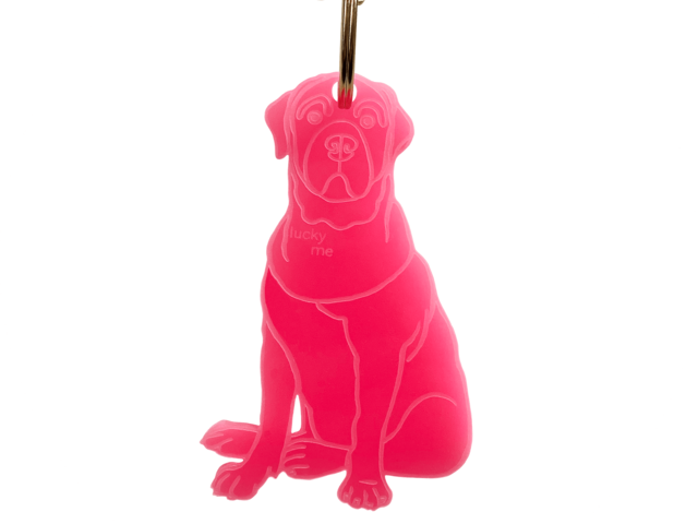 Lucky mes Anhänger Hund pink 1