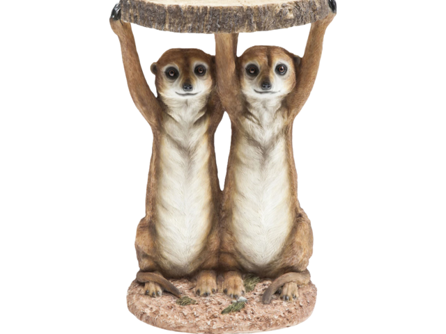 Kare Beistelltisch Meerkat Sisters 1