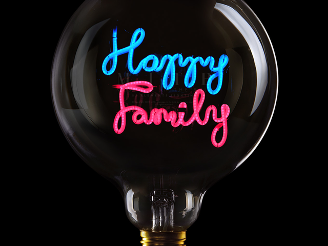 Message-in-the-bulb LED-Textglühbirne Ampoule Happy Family 1