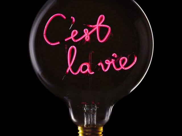 Message-in-the-bulb LED-Textglühbirne Ampoule C'est la Vie 1